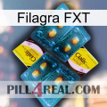 Filagra FXT cialis5